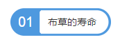�Ƶ겼�������̡�����Ľ���취��